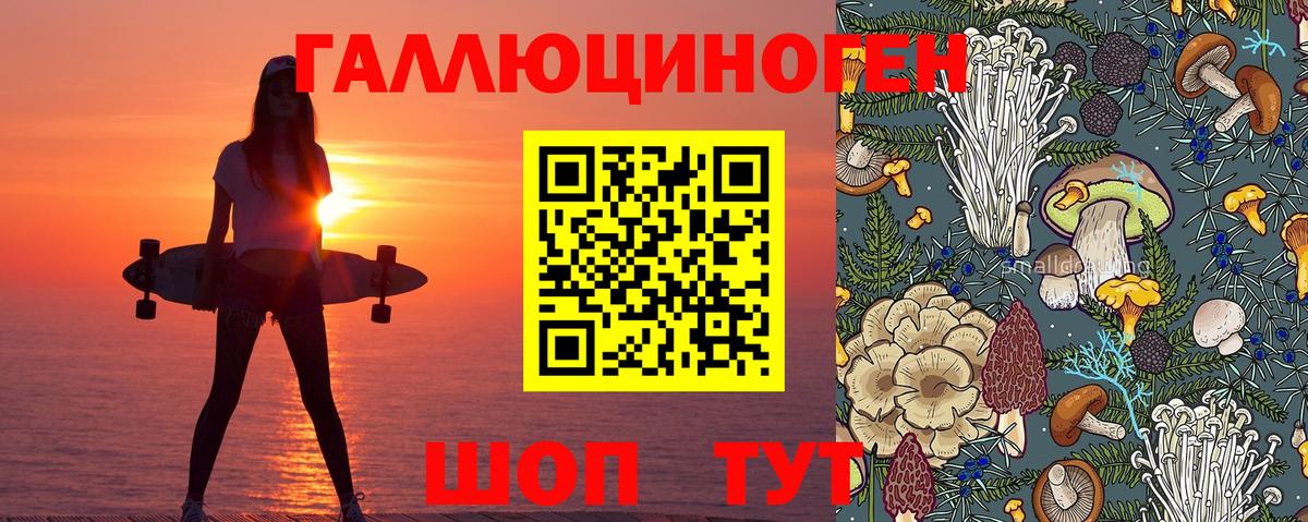 Галлюциногенные грибы мухоморы  Вход с VPN  Гусев 