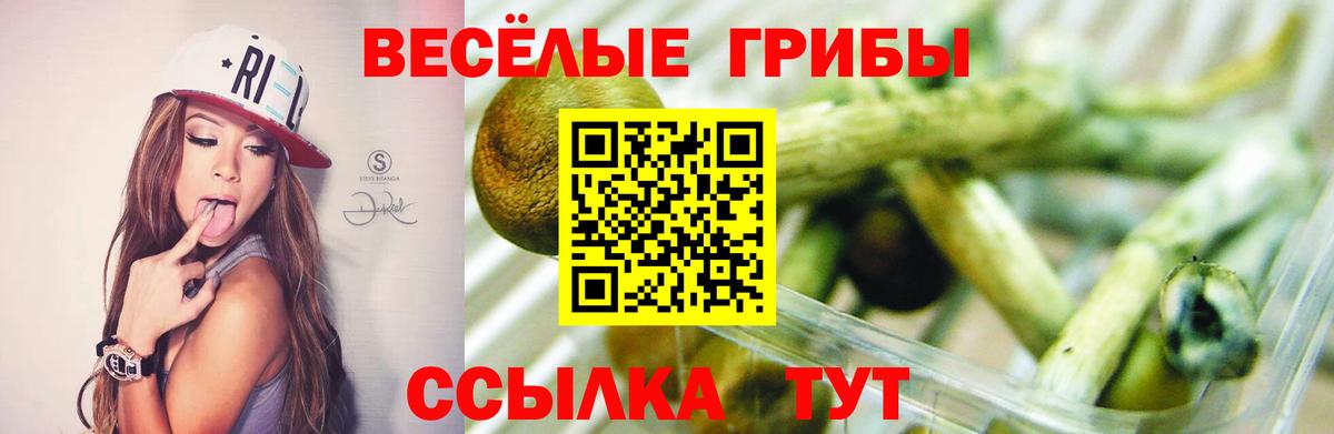 Псилоцибиновые грибы Magic Shrooms Гусев