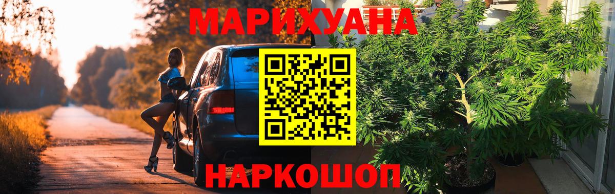 Марихуана конопля  Шишки марихуана семена  Вход с VPN  Каннабис марихуана  Гусев  Шишки марихуана гибрид 